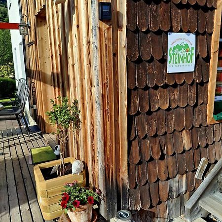 Haus Steinhof Villa Sankt Lorenzen ob Murau Eksteriør billede