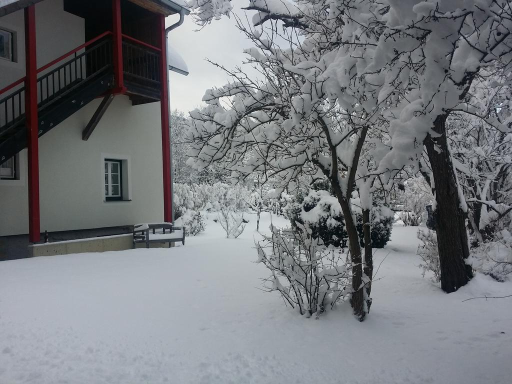 Haus Steinhof Villa Sankt Lorenzen ob Murau Eksteriør billede
