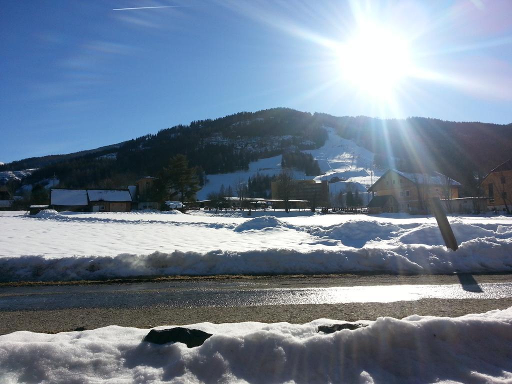 Haus Steinhof Villa Sankt Lorenzen ob Murau Eksteriør billede
