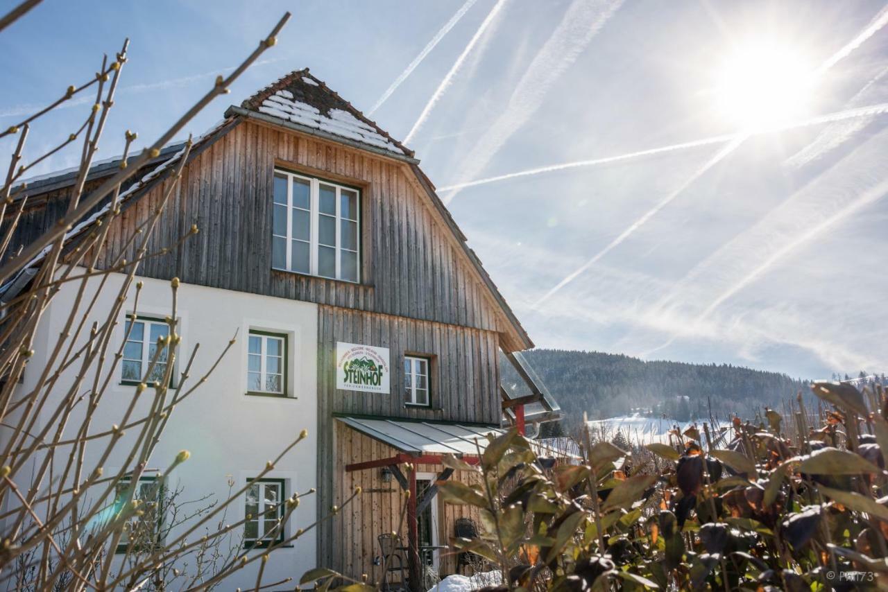 Haus Steinhof Villa Sankt Lorenzen ob Murau Eksteriør billede