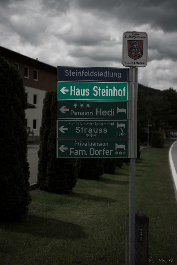 Haus Steinhof Villa Sankt Lorenzen ob Murau Eksteriør billede
