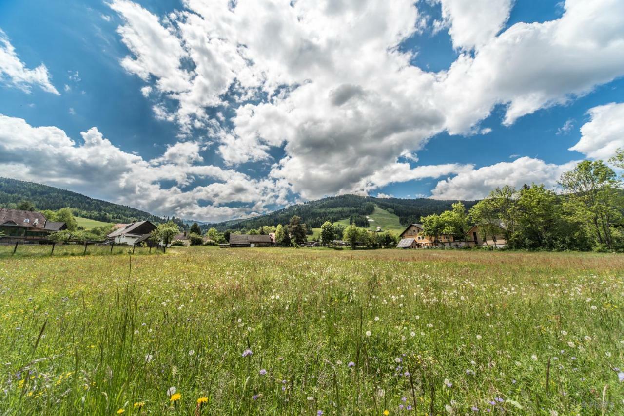 Haus Steinhof Villa Sankt Lorenzen ob Murau Eksteriør billede