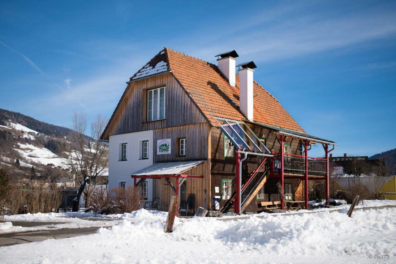 Haus Steinhof Villa Sankt Lorenzen ob Murau Eksteriør billede
